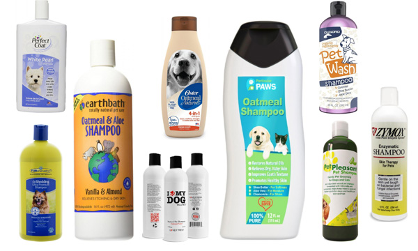 Controllo rapido e duraturo delle pulci I migliori shampoo contro le pulci e le zecche per ogni cane Controllo rapido e duraturo delle pulci I migliori shampoo contro le pulci e le zecche per ogni cane