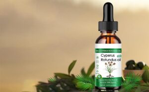 Everything you need to know about Cyperus rotundus oil—from hair removal potential to skincare benefits, usage tips, and side effects.